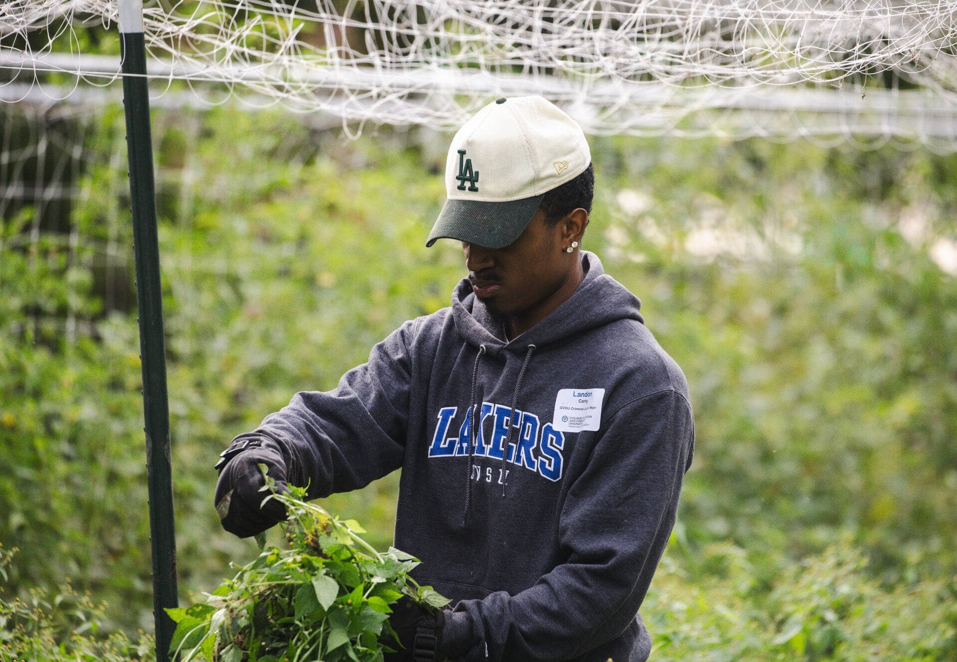 staff member in Lakers gray sweatshirt weeding a garden, he's wearing a LA dodgers baseball hat